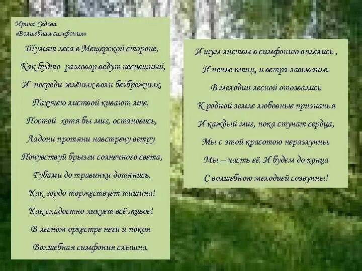 Стих лес шумит. Стихотворение шумный лес. Текст в лесу шумно и весело. Стихи Ирины Седовой. Голос в лесу стих