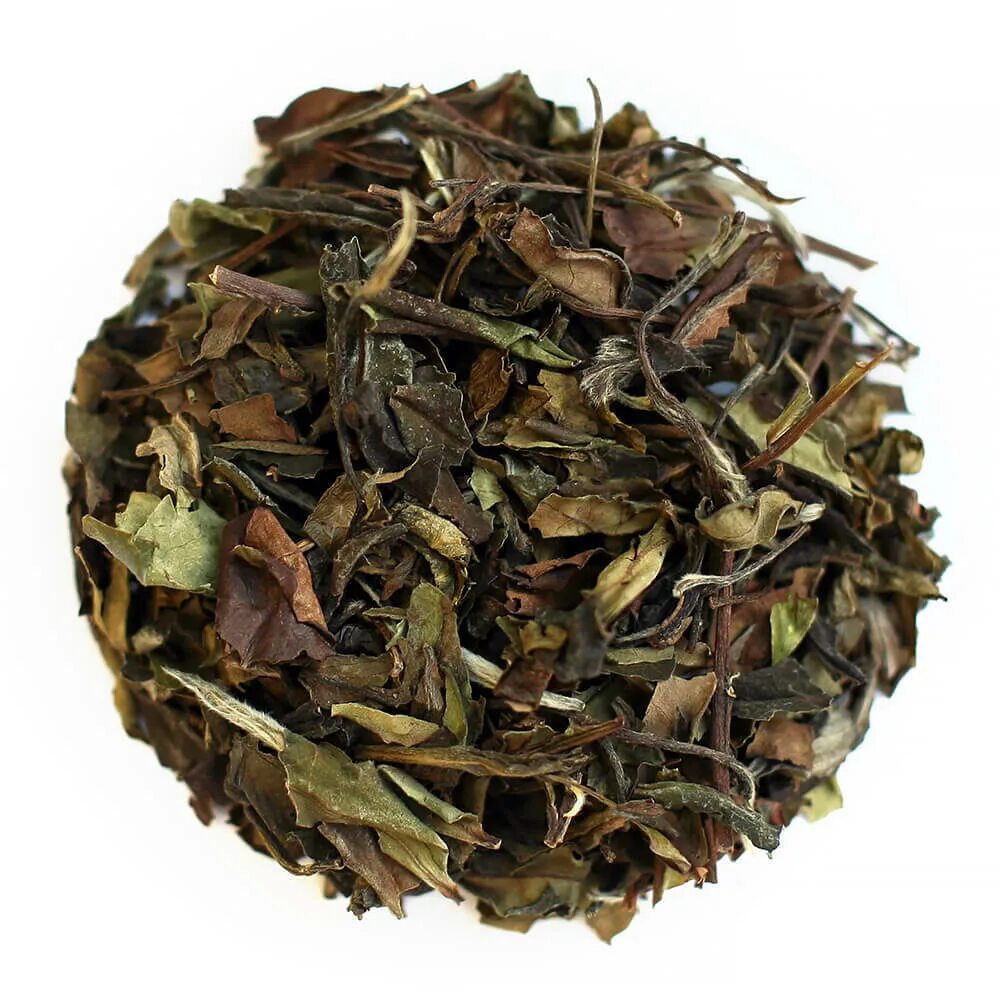 Бай ин это. Buy now!. Buy now!. Бай ин это. Бай ин это.