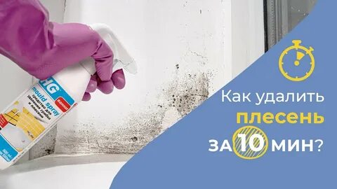 Как быстро удалить плесень? - YouTube