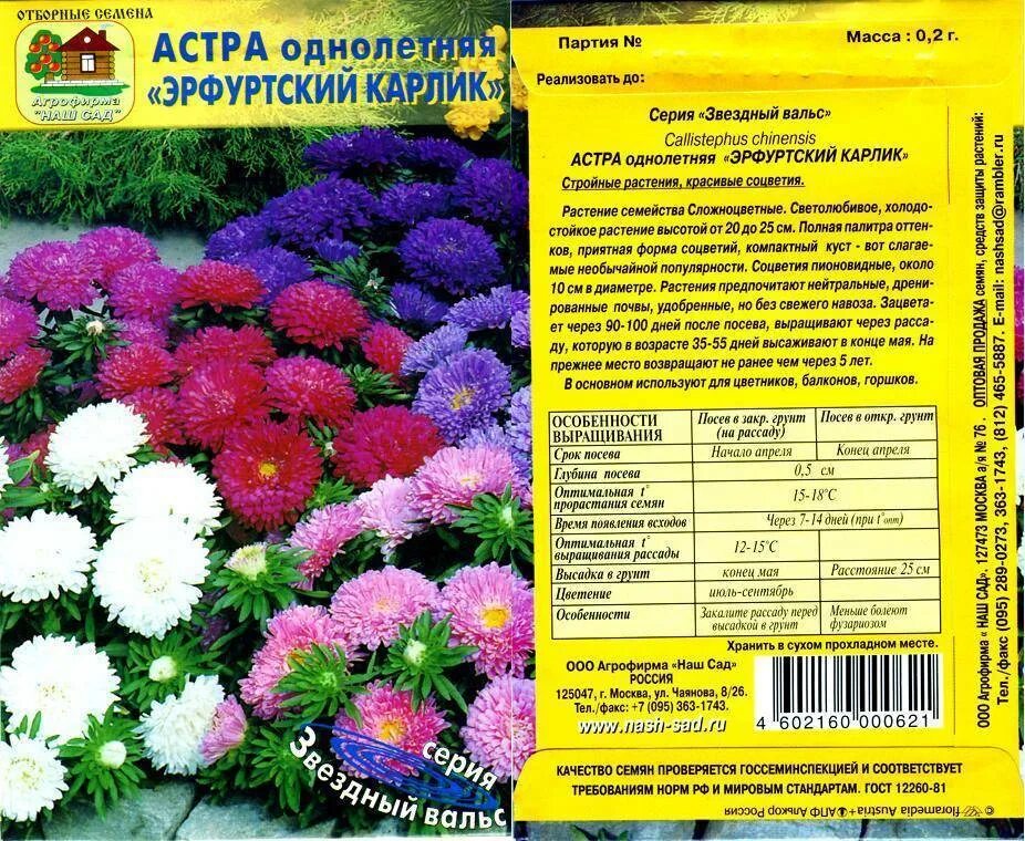 Отзыв про Цветы Астры: "Яркое разноцветье красок." Дата отзыва: 2016-02-08 19:43