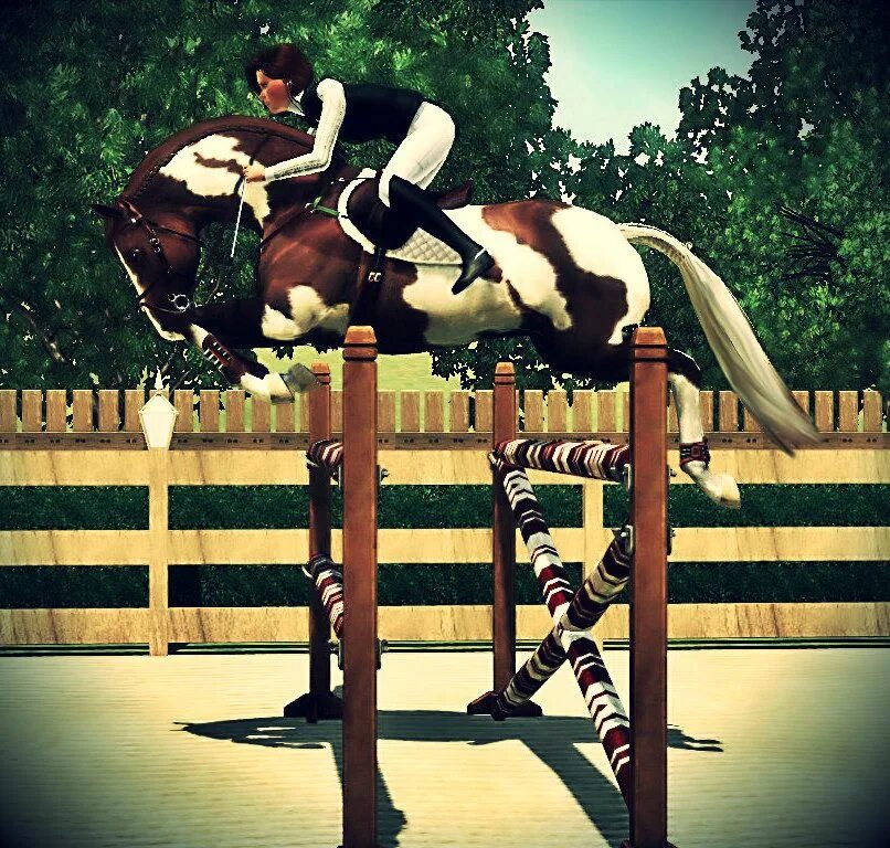 Симс верховая езда. SIMS 3 Horse. Конный симс 3. Симс 3 лошади. Препятствия для лошадей симс 3.