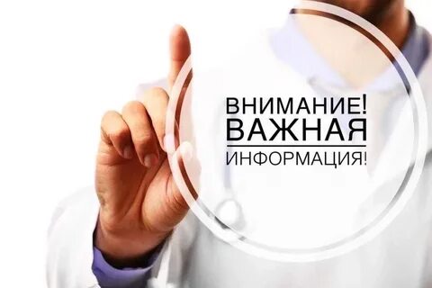 Статья про внимание