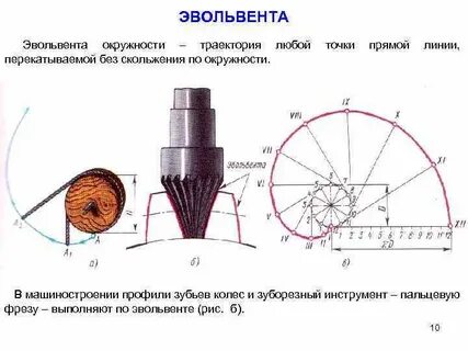 Эвольвента