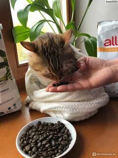 Прием корма