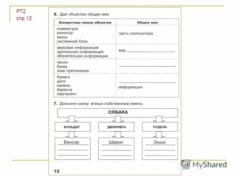объект имя объекта 3 класс. общие имена объектов. свойства объекта по информатике. имя объекта информатика. отметь общие имена объектов.