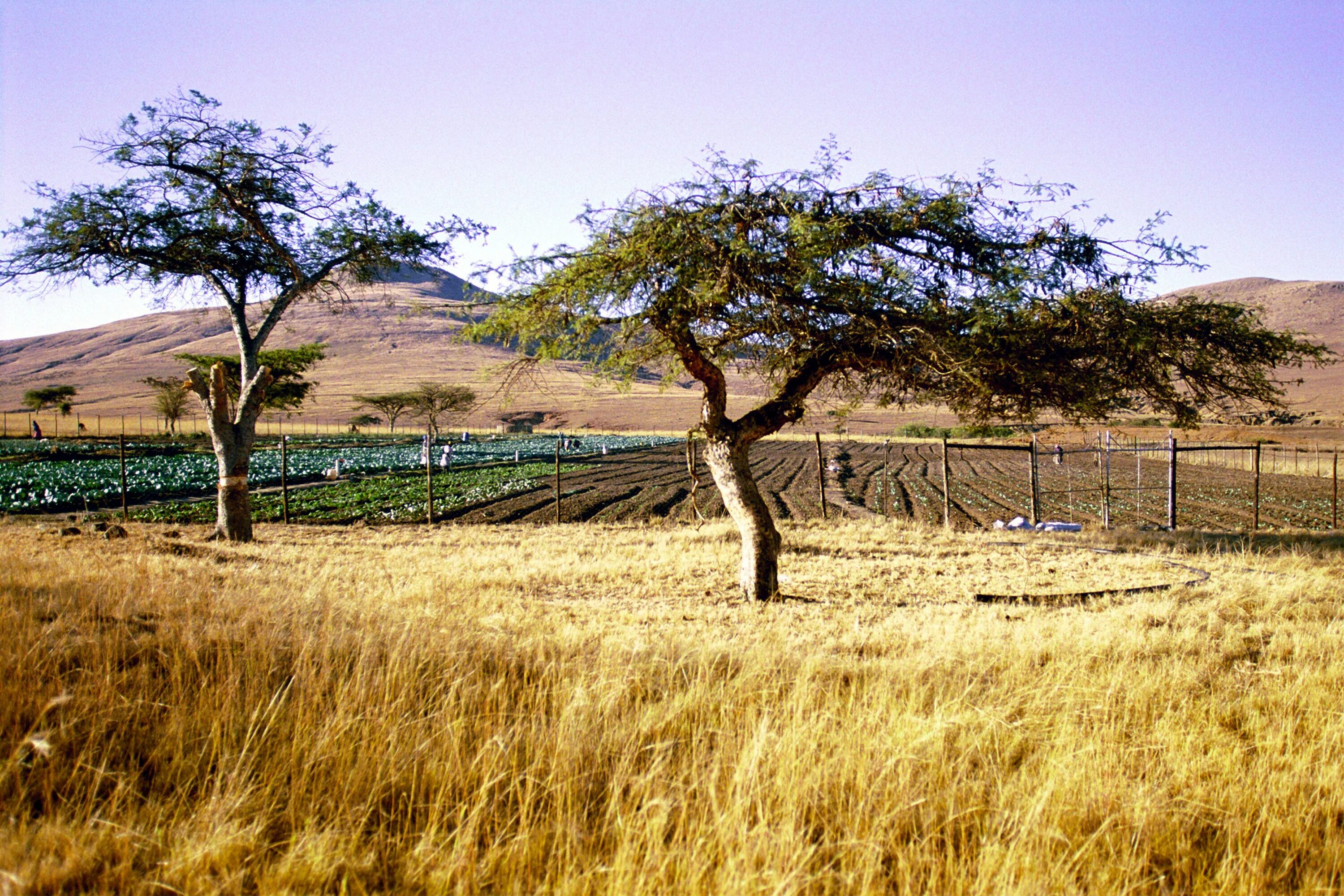 Source land