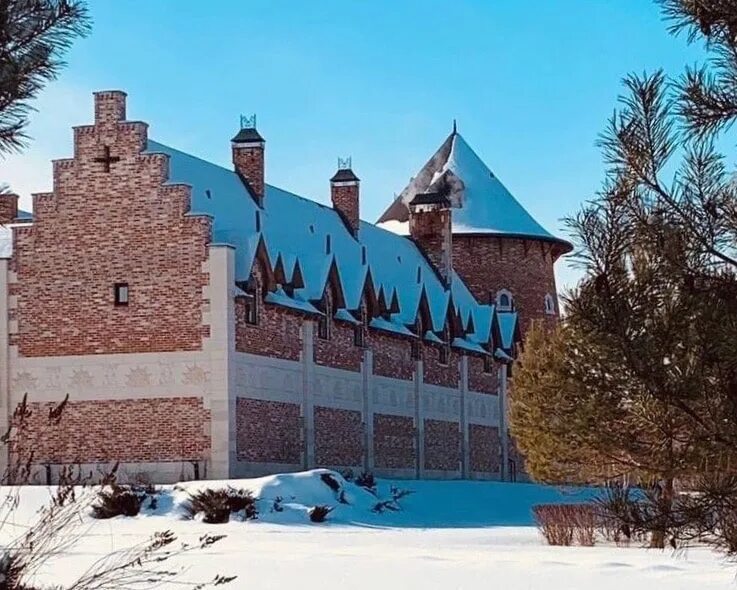 Замки подмосковья. Коломна замок la ferme. Успенский замок Подмосковье. Шемякинский замок в Подмосковье. Отель замок в Подмосковье.