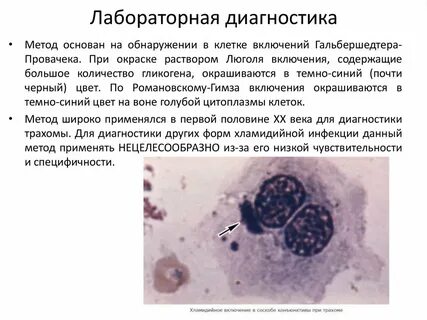 Тельце форум