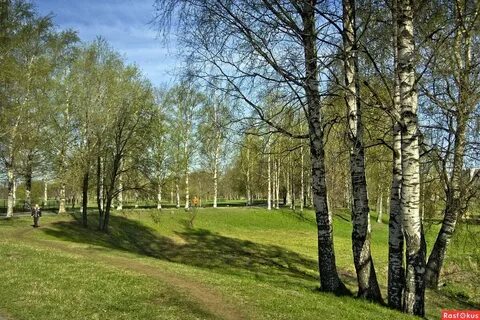 Березовый парк дома
