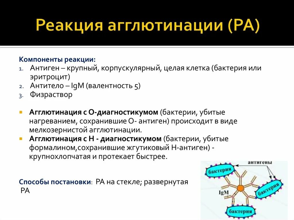 Методы реакции агглютинации. Реакция агглютинации компоненты реакции. Компоненты реакции агглютинации микробиология. Реакция агглютинации схема микробиология. Компоненты реакции агглютинации 3.