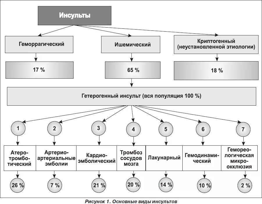 Патогенез ишемического инсульта. Классификация ишемического инсульта головного мозга. ишемический инсульт классификация неврология. схема терапии ишемического инсульта. классификация инсультов головного мозга неврология.