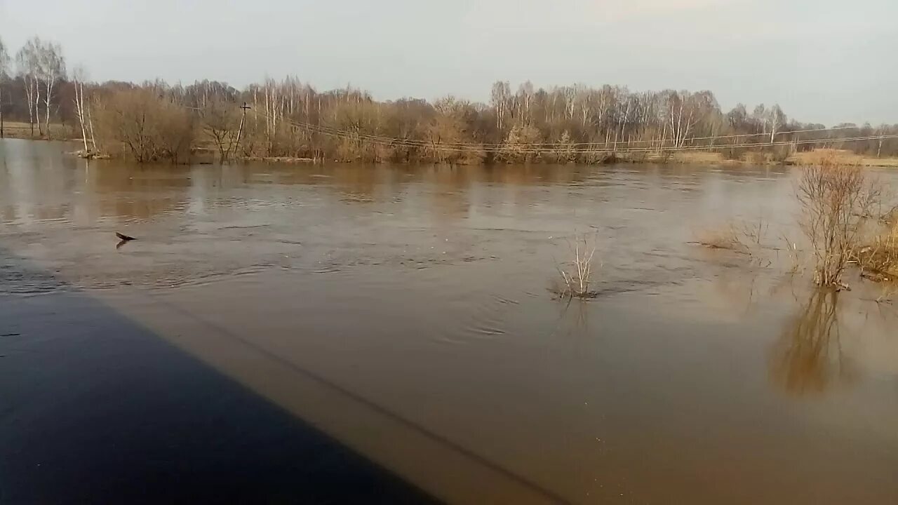 Уровень воды в клязьме сегодня галицы. Разлив реки Клязьма. Разлив Клязьмы во Владимире 2022. Разлив Клязьмы во Владимире. Клязьма разлив 1994.