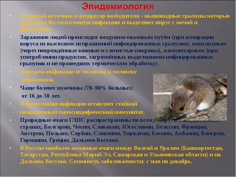 Мышиная лихорадка симптомы и лечение. Геморрагическая лихорадка с почечным синдромом презентация. заболевания передаваемые мышами. мыши переносчики мышиной лихорадки.