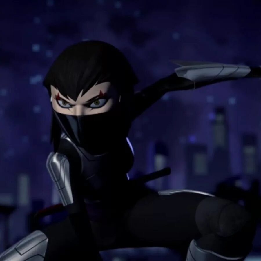 Tmnt karai. Черепашки ниндзя 2012 карай. Черепашки ниндзя карай. Карай Хамато Мива. Карай из черепашек ниндзя.