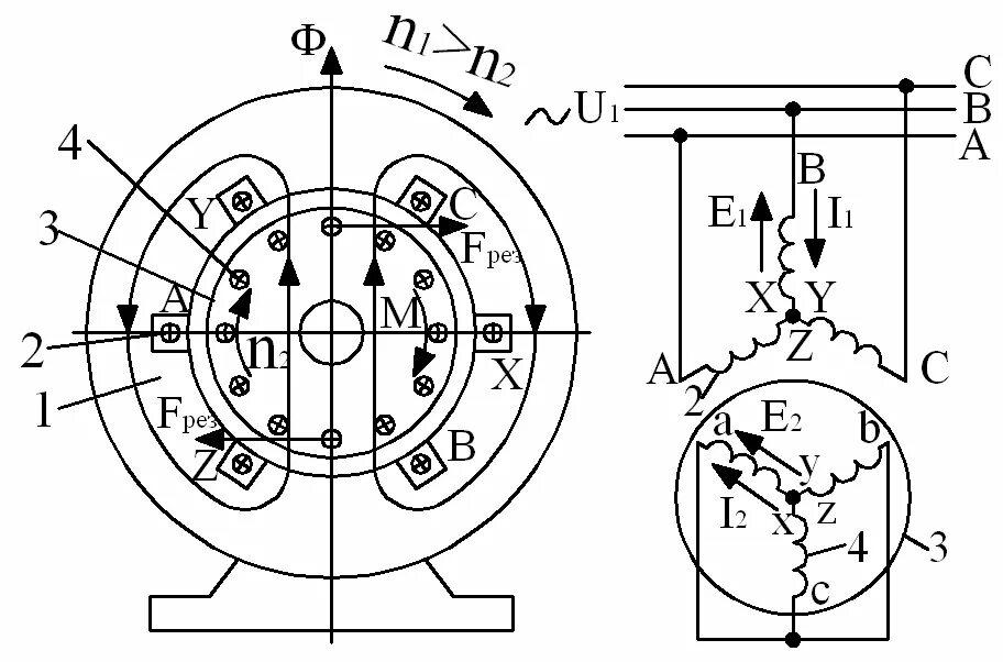 Обмотки синхронного двигателя. Принцип работы трехфазного асинхронного двигателя схема. Статор асинхронной машины схема. Схема включения асинхронной машины. Электромагнитная схема асинхронного двигателя.