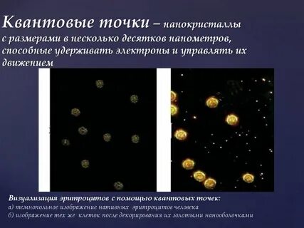 В длину достигает несколько сотен тысяч нанометров