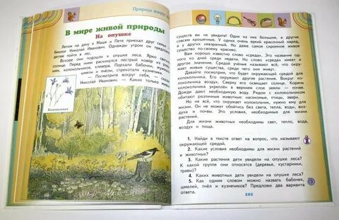 Увидели на опушке