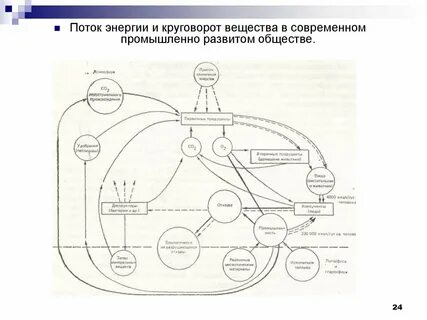 Круговорот веществ и поток энергии