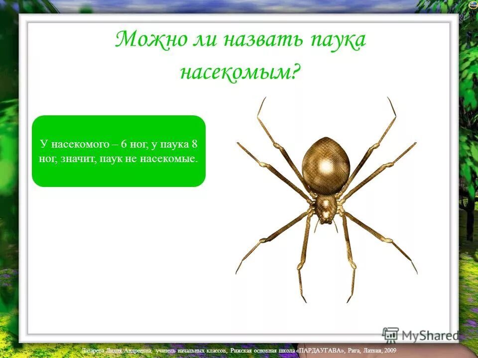 Что обозначает паук 4. Что обозначает паук 4. Что означает паук как символ. Что обозначает паук 4. Что обозначает паук 4.