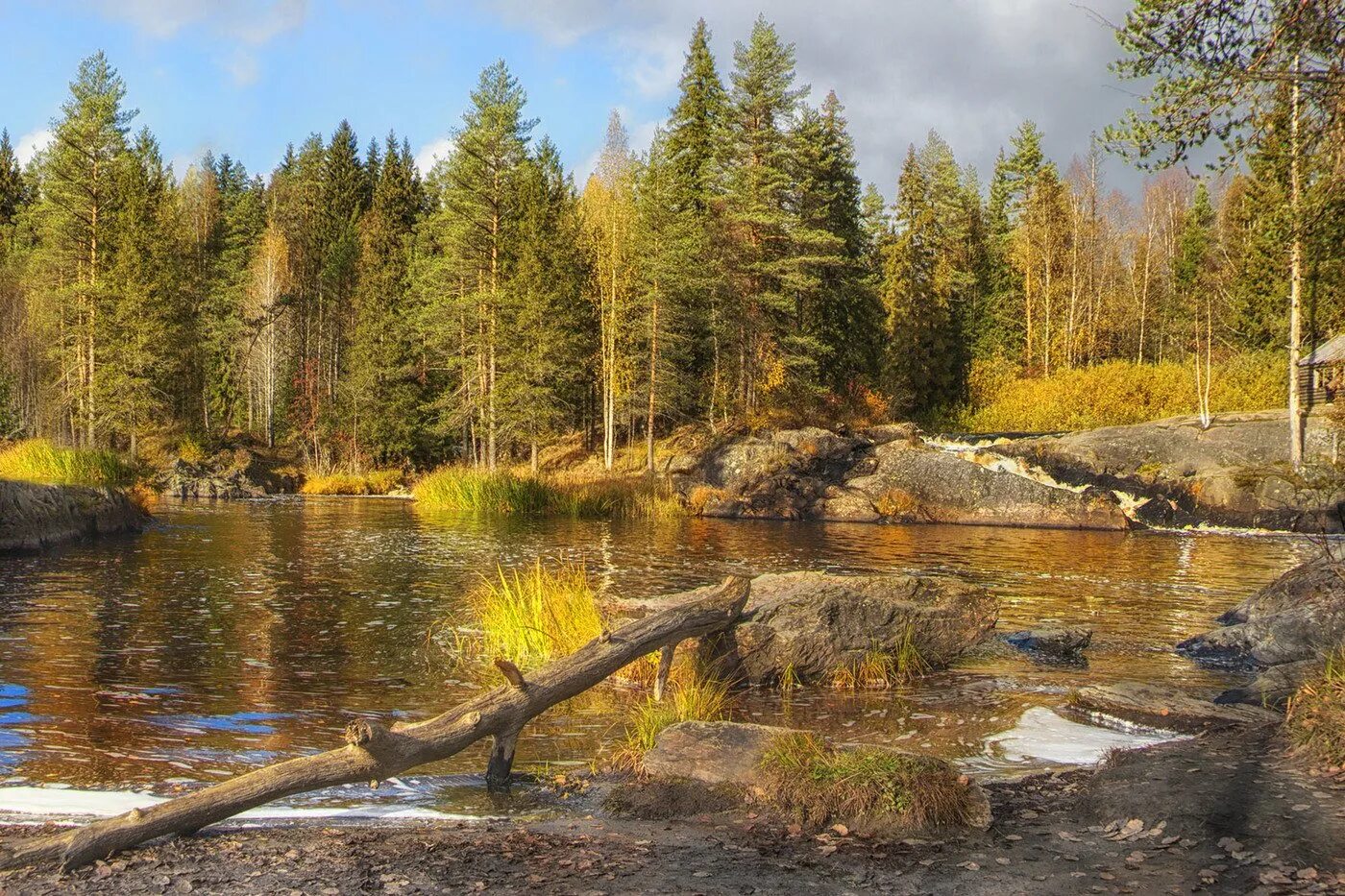Карелия природа. Река кумса карелия. республика карелия природа. карелия петрозаводск природа. а зори здесь тихие природа карелии.