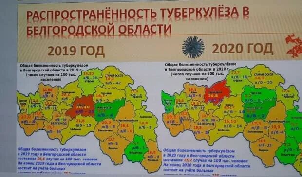 Карта прохоровского района. Карта Прохоровского района Белгородской области. Карта Белгородской области Прохоровский район границы. Карта Прохоровского района Белгородской области с селами. Карта схема Прохоровского района Белгородской области.