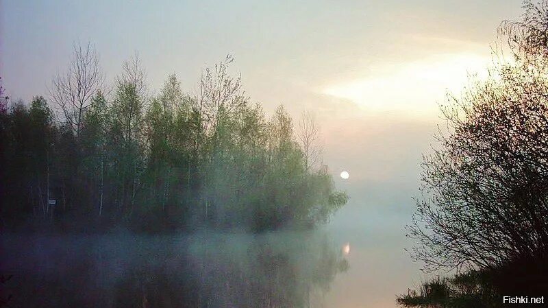 Фёдор Сологуб Забелелся туман за рекой. Забелелся туман над рекой Сологуб. Забелелся туман за рекой. За рекой непогода за рекою туманы песня
