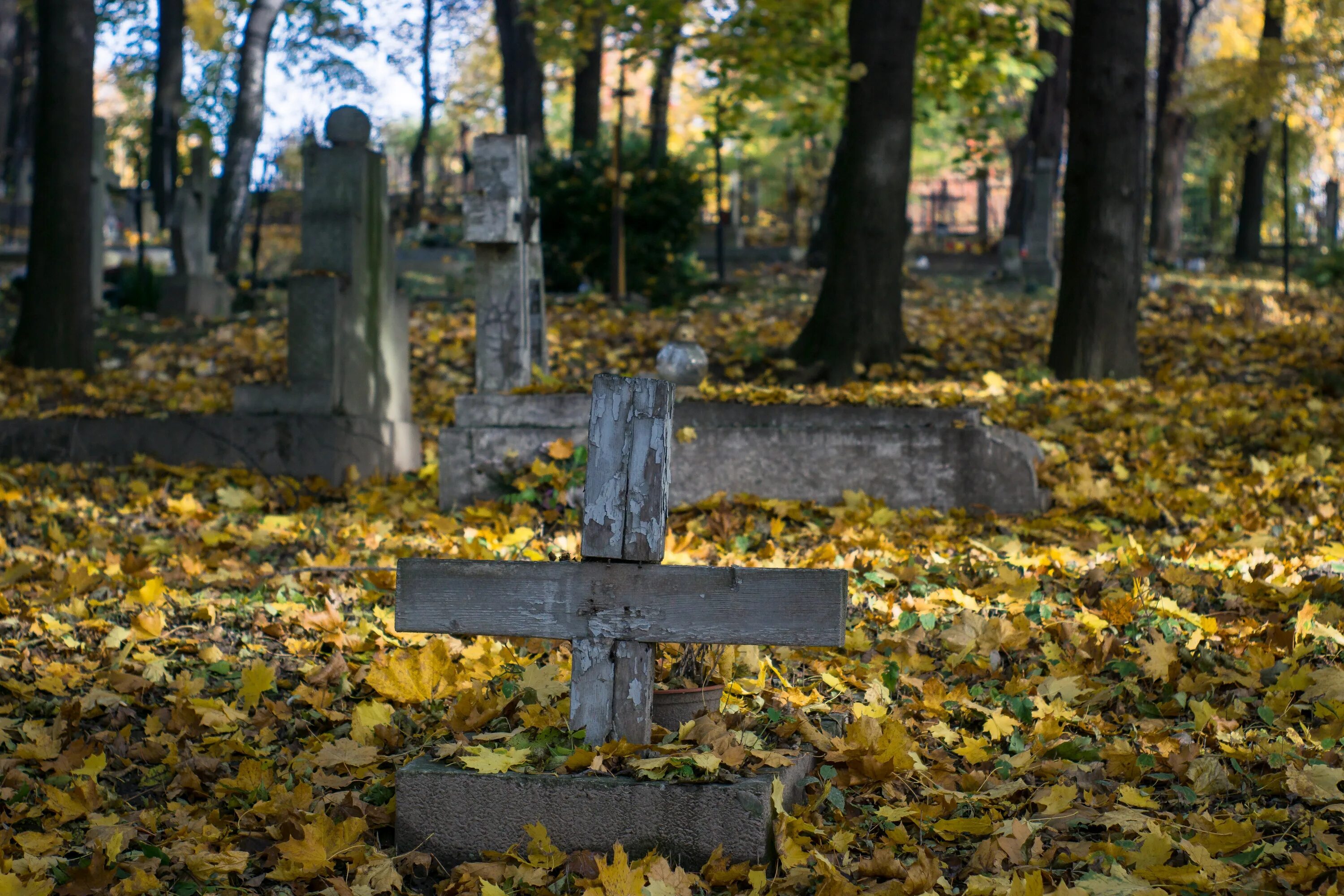 Осеннее кладбище. Старое кладбище. Кладбище осень. Красивое кладбище.