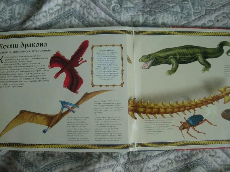 Мир драконов книга. Мифы о драконах книга.