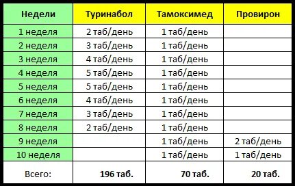 Первые курсы туринабола