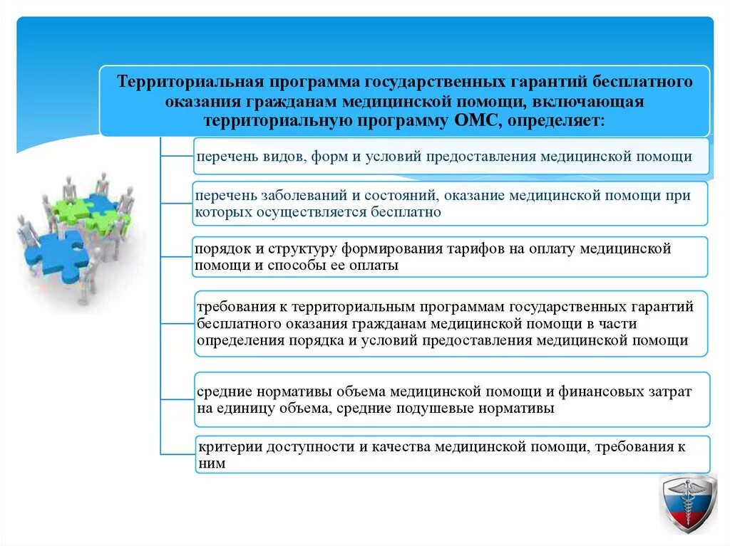 Элементы государственной программы. Территориальная программа государственных гарантий. Программа государственных гарантий оказания медицинской помощи. Территориальная программа госгарантий. Структура программы госгарантий.