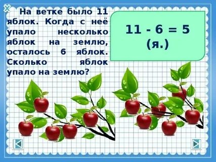 Сколько яблонь можно