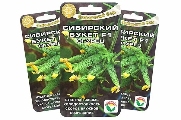 Лучшие сорта огурцов