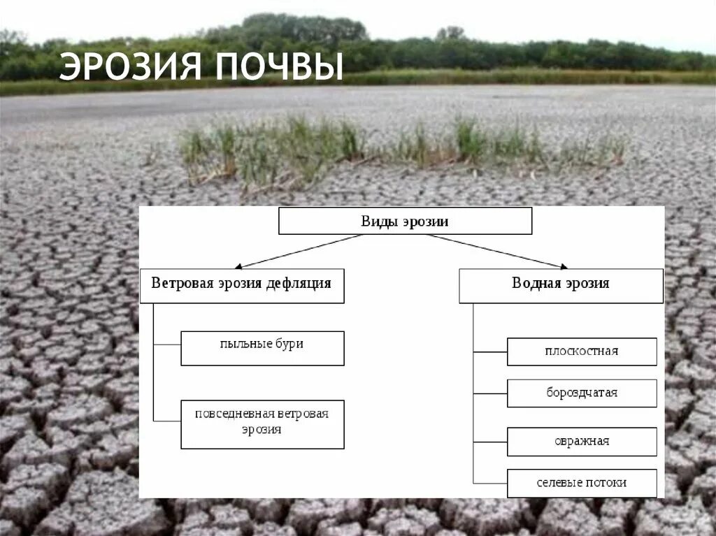 Виды почу. Типы ветровой эрозии. Ветровая эрозия почв причины. Водная эрозия почв причины. Эрозия почвы схема.