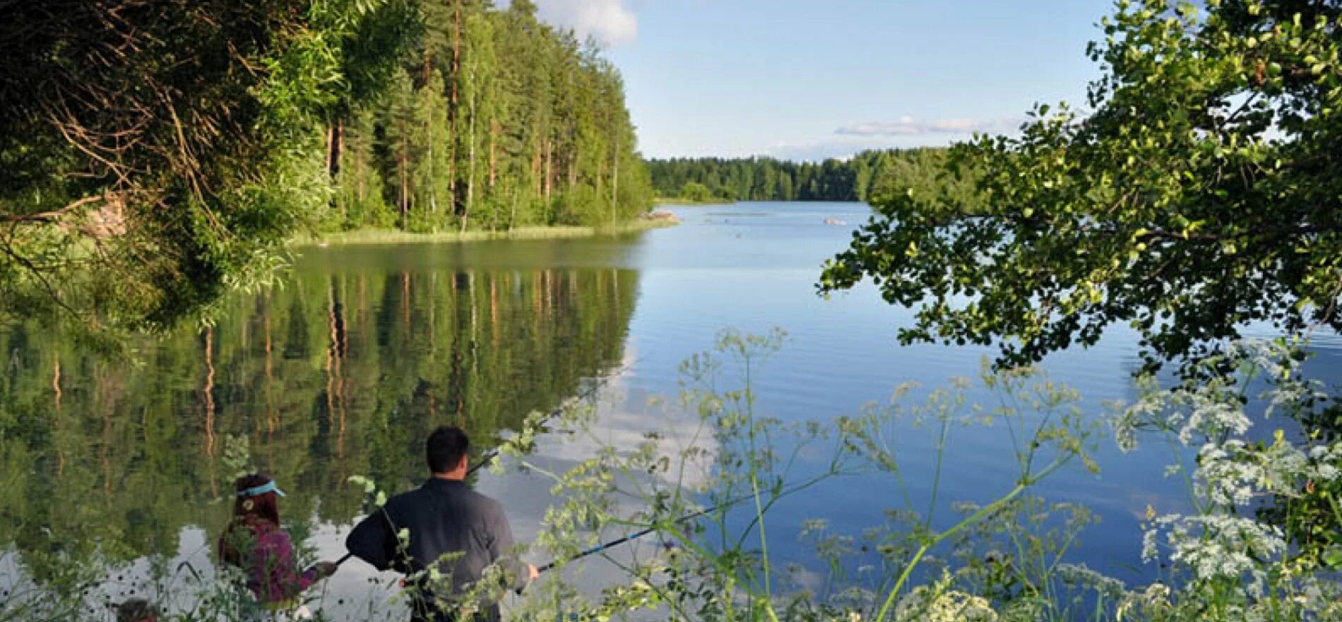 Истра природа водохранилище. Сёмин пруд Истра. Истра озеро. Истринские водоемы