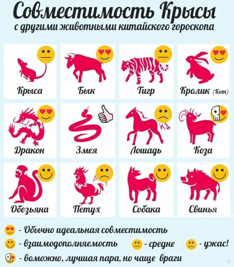 Какое животное ассоциируется с именем