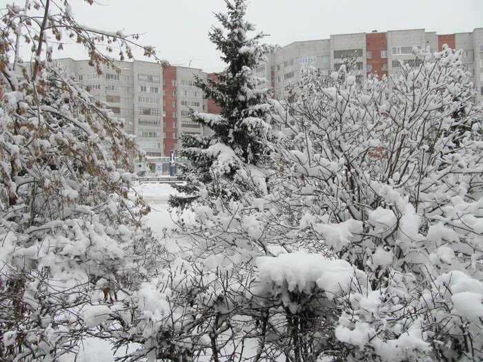 Томск зима январь. Код города томск. Gismeteo томск. Погода в томске. Погода в томске сегодня.