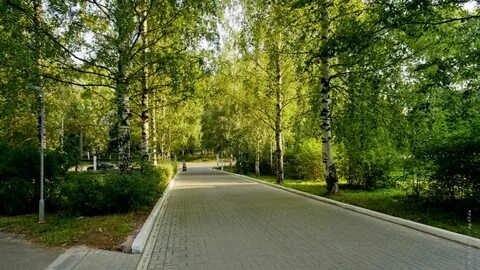 Кировский парк