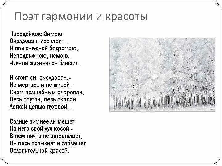 Тютчев лес. Стих Тютчева Чародейкою зимою околдован. Тютчев лес околдован. Чародейкою зимой стихотворение Тютчева. Стихотворение Тютчева чародей.