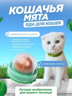 Кошачье лакомство с мятой
