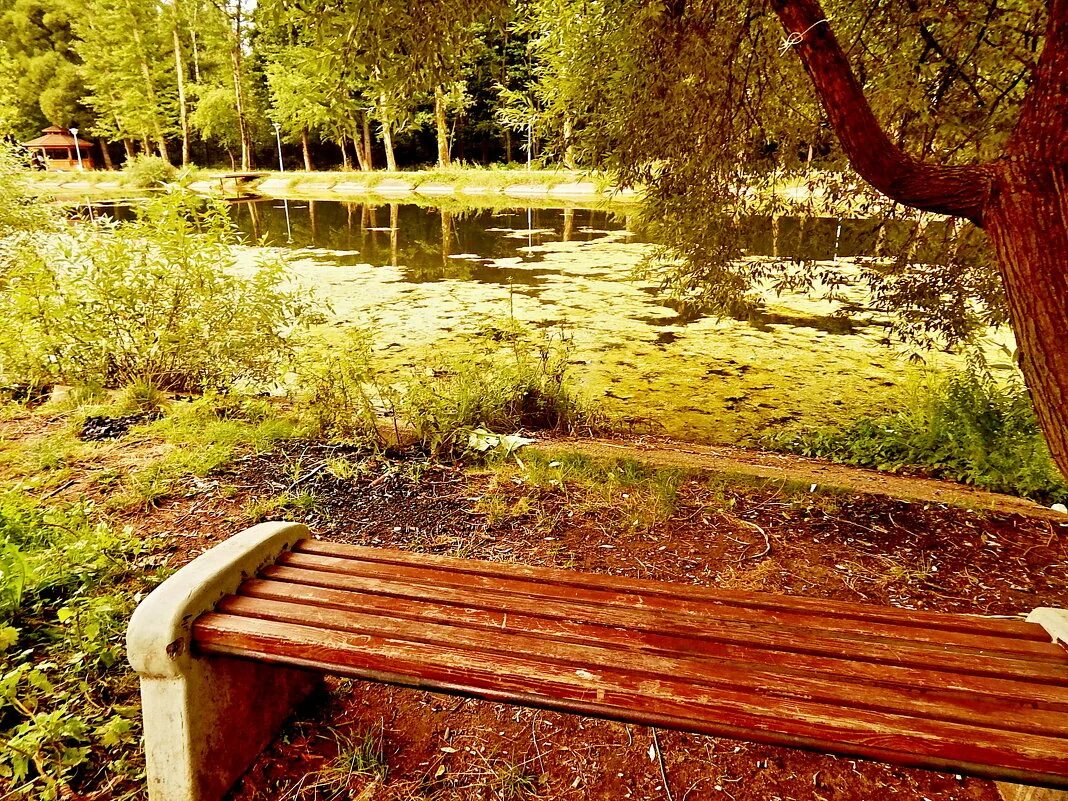 парк марьино 850 детские площадки. парк марьино 850 детские площадки. усадьба трубецких в хамовниках. парк трубецких схема. парк 850 лет москвы фото.