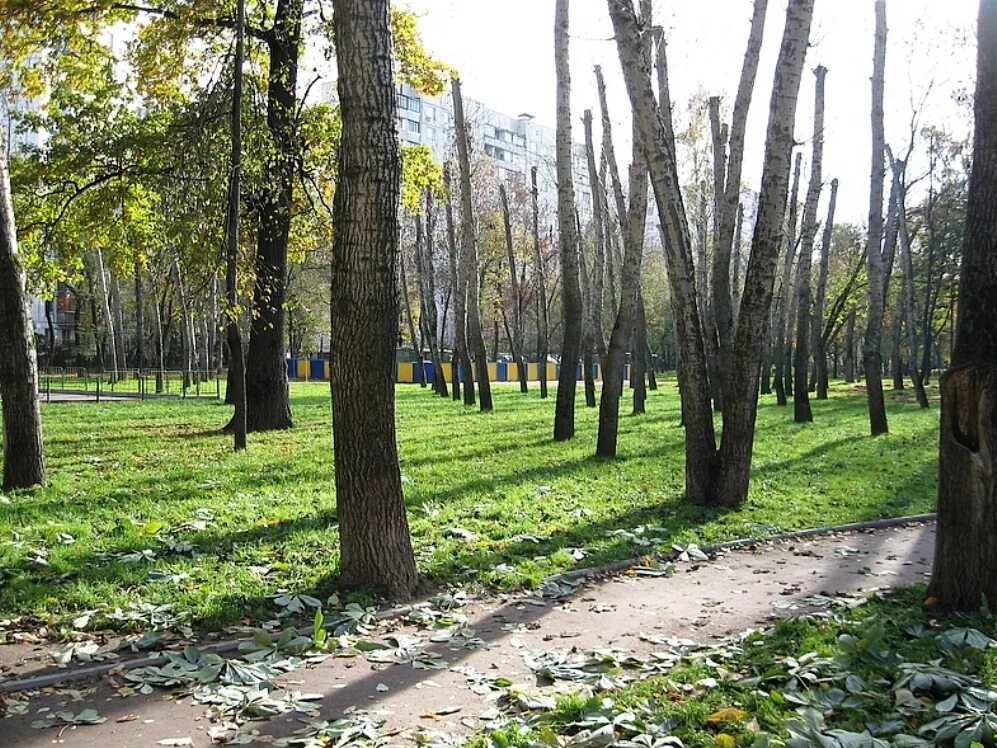 охранник в парке. парк вопросы. парк 850-летия москвы аттракционы.