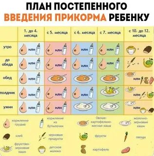 Какую рыбу давать в прикорм