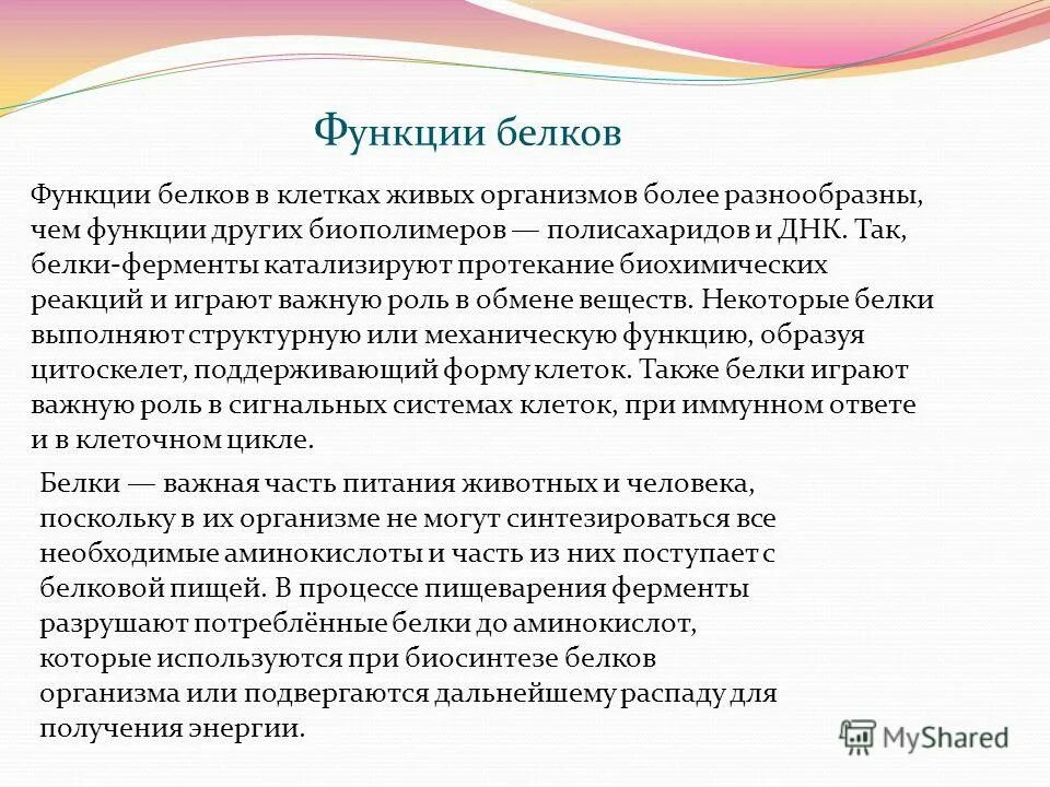 Какую роль в живых организмах играют белки. Белки. Перечислить функции белков в организме человека. Перечислите функции белков в организме. Функции белка в организме.