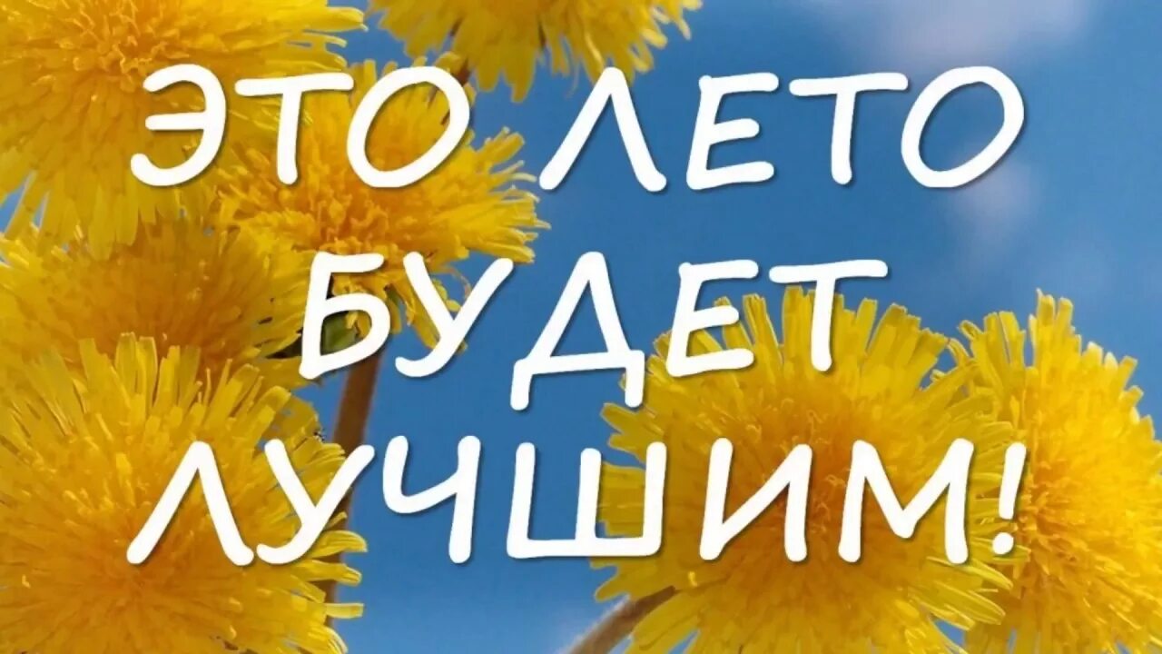 Каждый год приходит лето. Каждый год приходит лето. Статусы о лете. Вот и лето наступило. Высказывания про лето.
