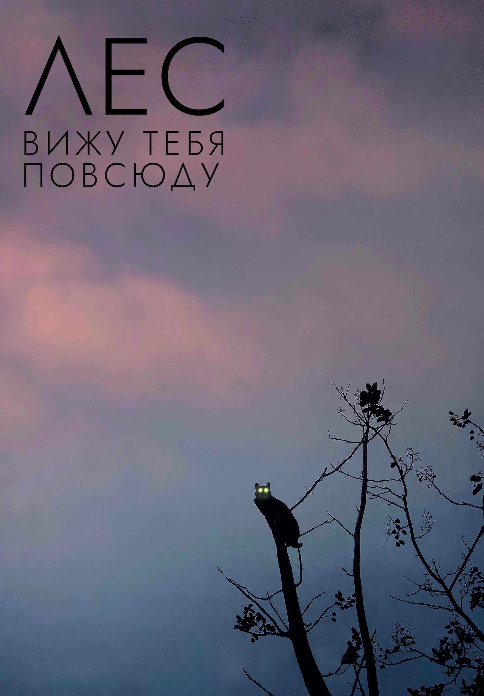 Увидел в лесу. Мемы про партизан. Что ты видел в лесу. Зимой не увидишь в лесу. Если встретил медведя.