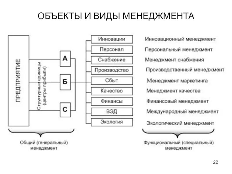 Виды менеджмента предприятия. Виды организаций в менеджменте. виды современного менеджмента. виды управления в менеджменте. виды менеджмента схема.