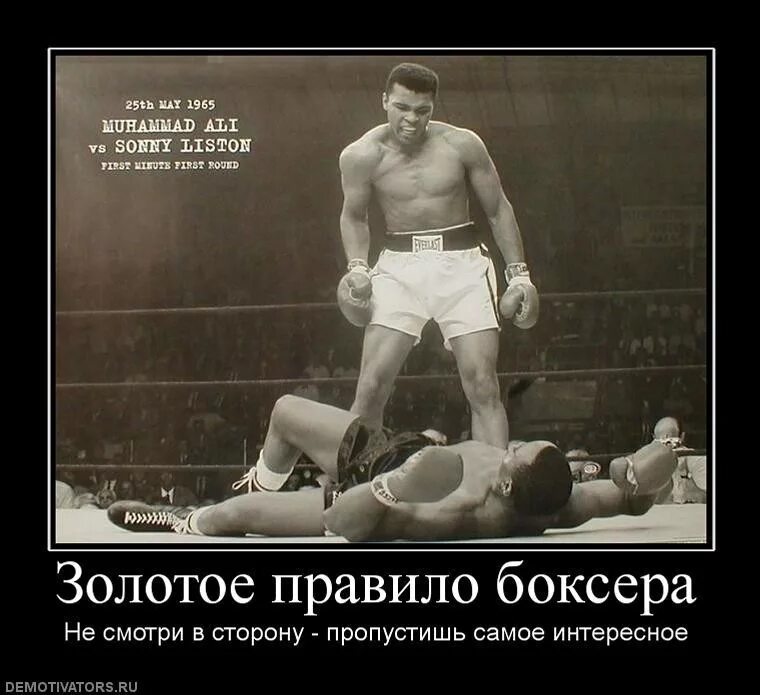 Пропустил удар слова. Цитаты про бокс. Цитаты боксера смешные. Прикольные цитаты про бокс.