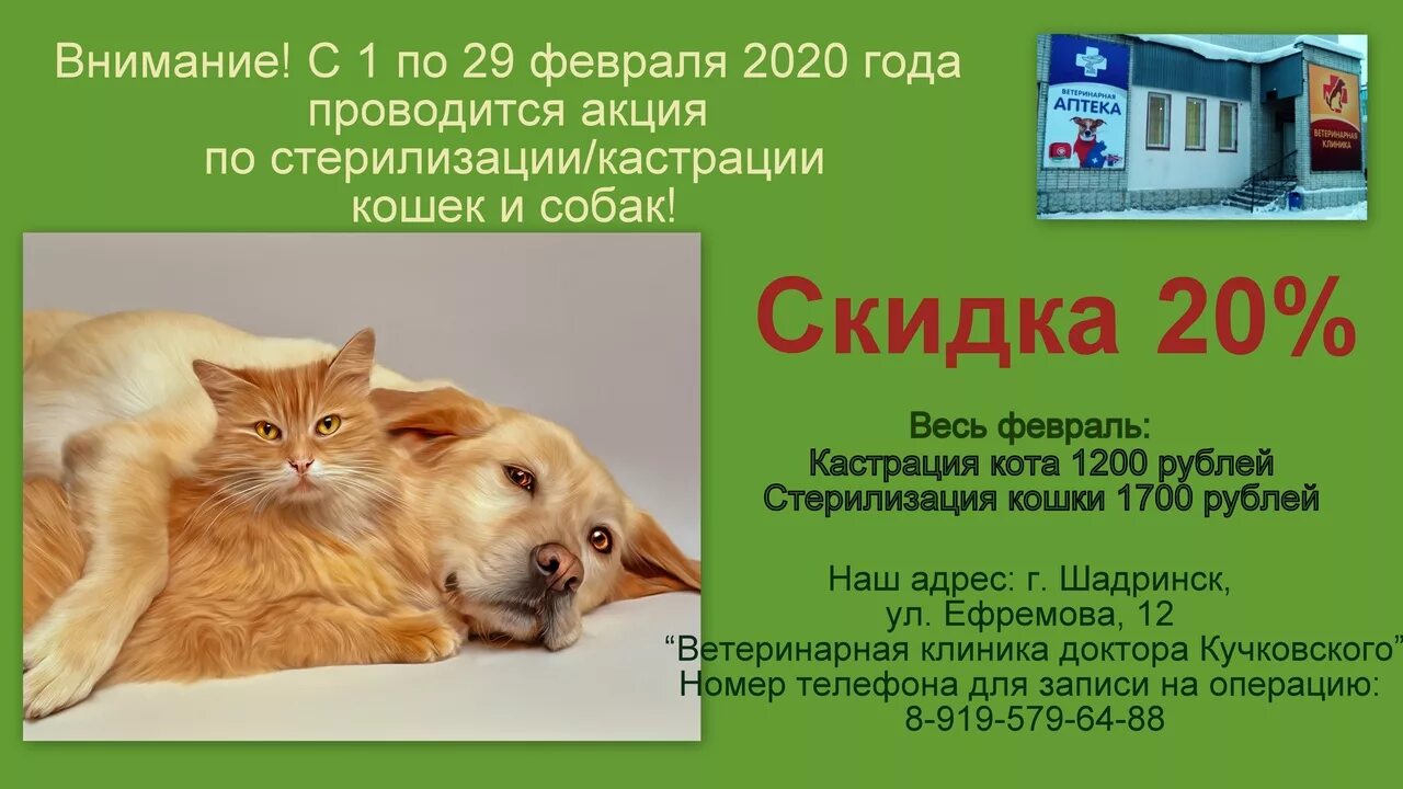 Городская ветлечебница арзамас. Ветеринарная клиника ветсервис сыктывкар. Ветаптека шадринск. Опытный ветеринар. Ветклиника шадринск.