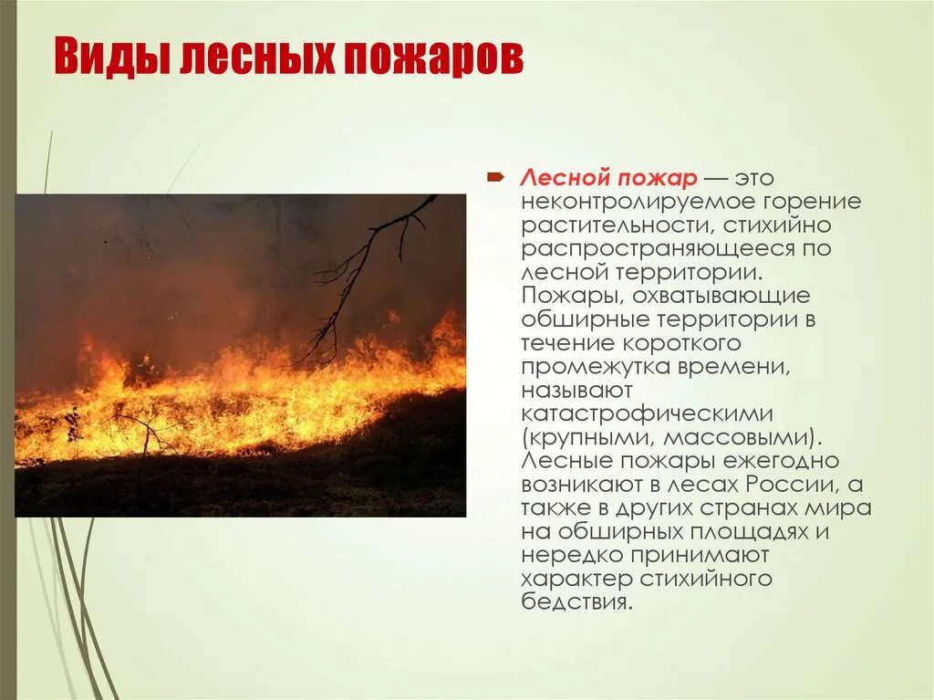 Виды пожаров. Лесные пожары. Пожар виды пожаров. Лесные пожары описать. Природные пожары кратко