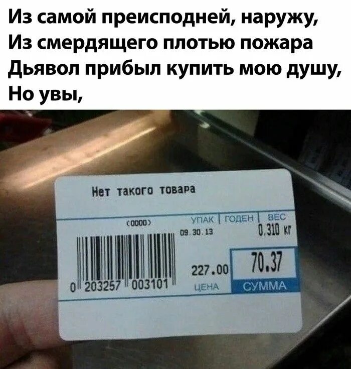 Есть такой нет. Смешные ценники и этикетки. ценник 300 рублей. увы но нет. увы нет.